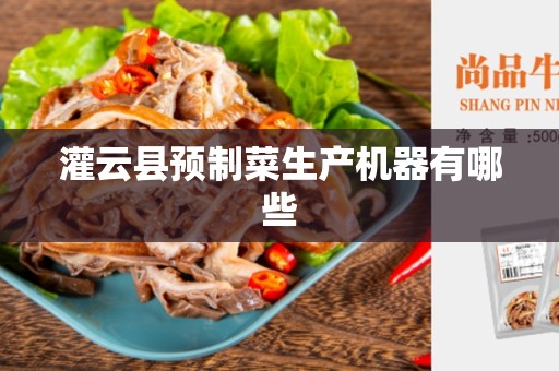 灌云县预制菜生产机器有哪些