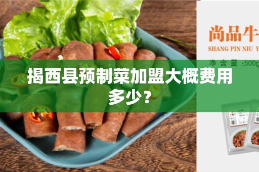 揭西县预制菜加盟大概费用多少？