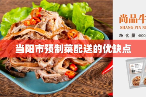 当阳市预制菜配送的优缺点