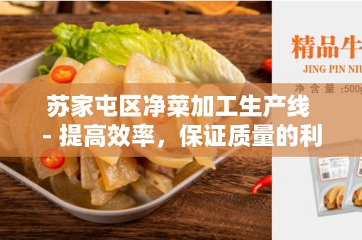 苏家屯区净菜加工生产线 - 提高效率，保证质量的利器