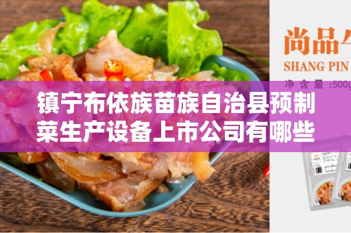 镇宁布依族苗族自治县预制菜生产设备上市公司有哪些
