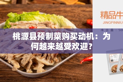 桃源县预制菜购买动机：为何越来越受欢迎？
