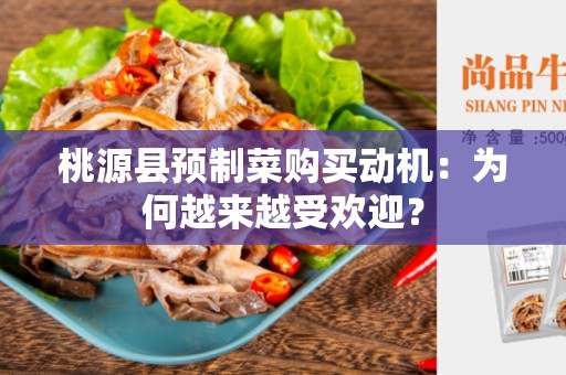桃源县预制菜购买动机：为何越来越受欢迎？