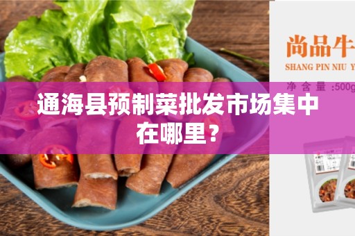 通海县预制菜批发市场集中在哪里？