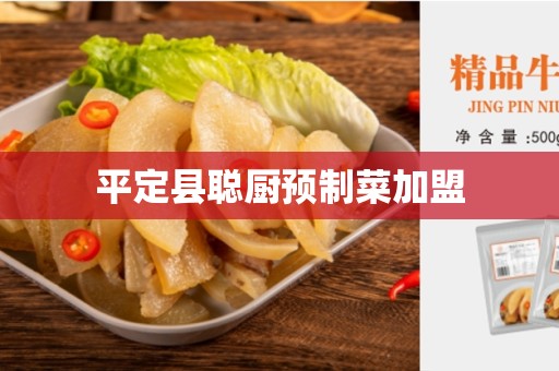 平定县聪厨预制菜加盟
