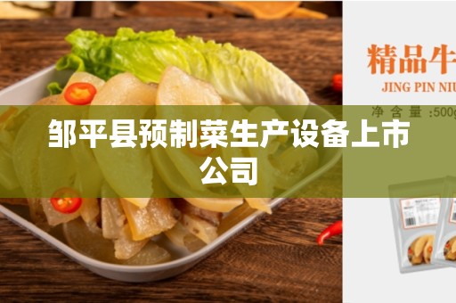 邹平县预制菜生产设备上市公司