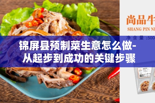 锦屏县预制菜生意怎么做- 从起步到成功的关键步骤