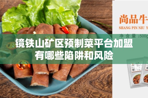 镜铁山矿区预制菜平台加盟有哪些陷阱和风险