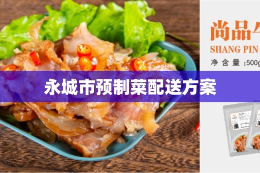 永城市预制菜配送方案