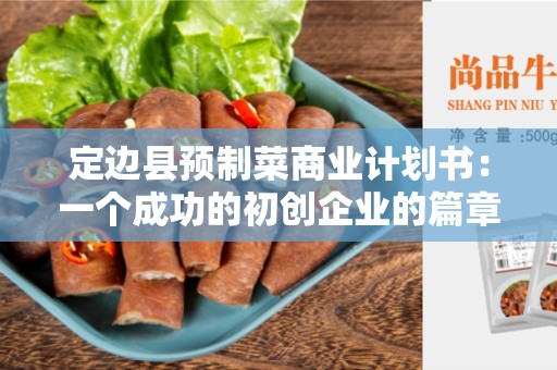 定边县预制菜商业计划书：一个成功的初创企业的篇章