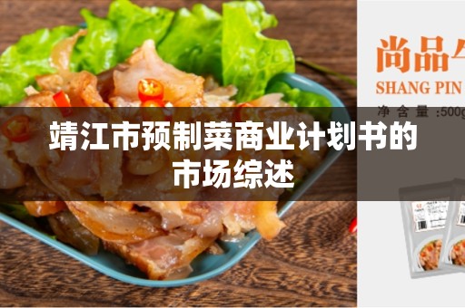 靖江市预制菜商业计划书的市场综述