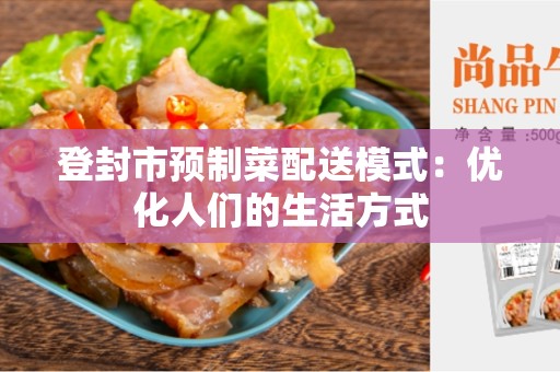 登封市预制菜配送模式：优化人们的生活方式