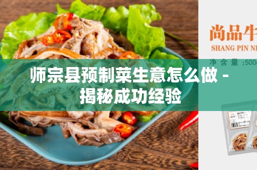 师宗县预制菜生意怎么做 - 揭秘成功经验