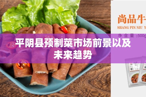 平阴县预制菜市场前景以及未来趋势