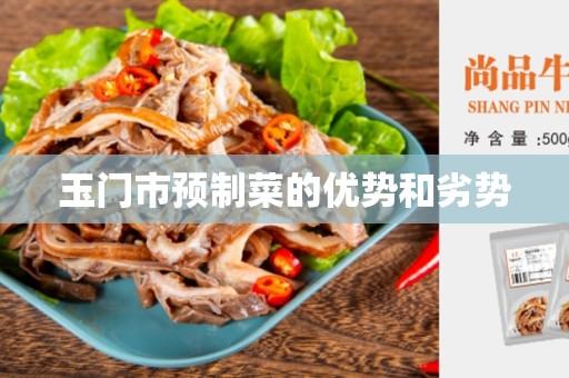 玉门市预制菜的优势和劣势