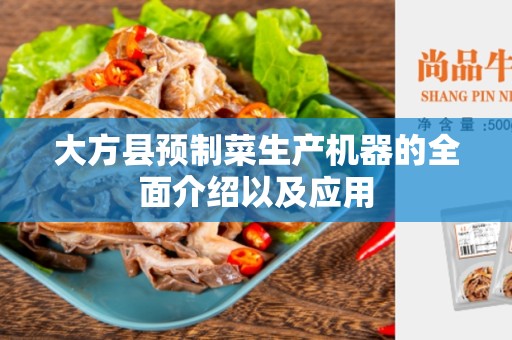 大方县预制菜生产机器的全面介绍以及应用