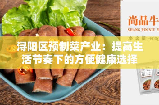 浔阳区预制菜产业：提高生活节奏下的方便健康选择