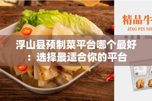 浮山县预制菜平台哪个最好：选择最适合你的平台