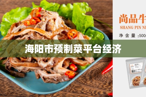 海阳市预制菜平台经济