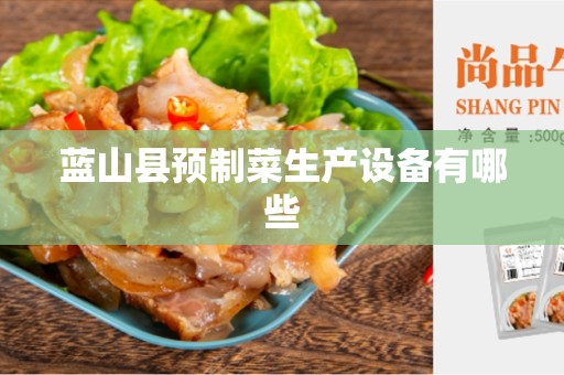 蓝山县预制菜生产设备有哪些