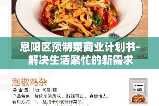 恩阳区预制菜商业计划书- 解决生活繁忙的新需求