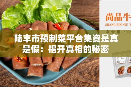 陆丰市预制菜平台集资是真是假：揭开真相的秘密