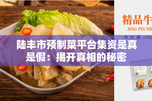 陆丰市预制菜平台集资是真是假：揭开真相的秘密