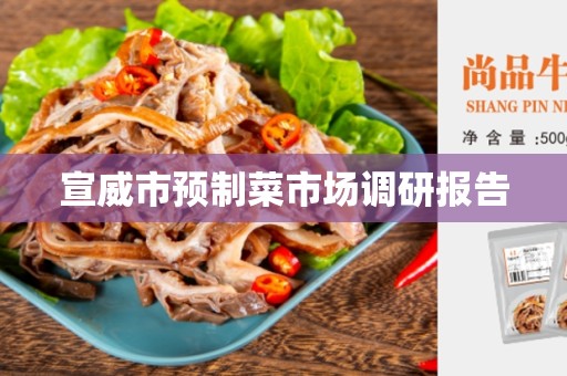 宣威市预制菜市场调研报告