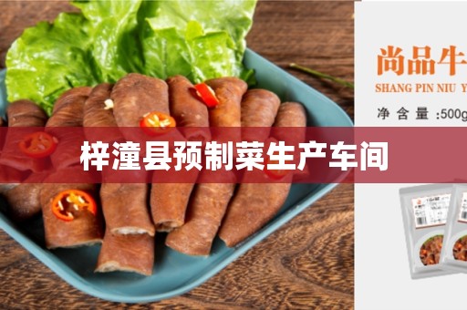 梓潼县预制菜生产车间