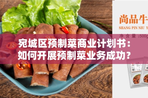 宛城区预制菜商业计划书：如何开展预制菜业务成功？
