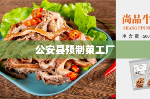 公安县预制菜工厂