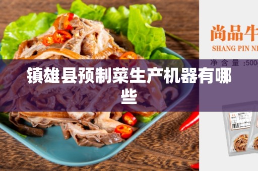 镇雄县预制菜生产机器有哪些