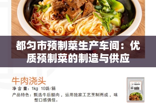 都匀市预制菜生产车间：优质预制菜的制造与供应