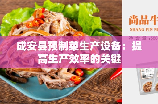成安县预制菜生产设备：提高生产效率的关键