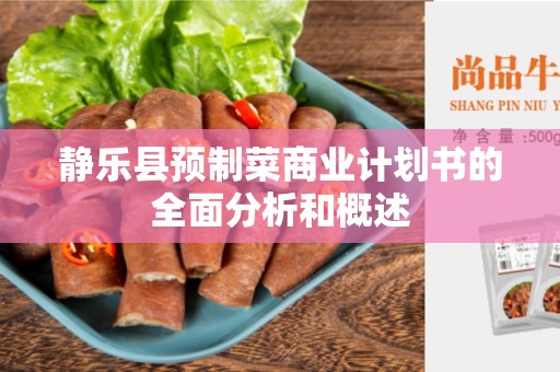 静乐县预制菜商业计划书的全面分析和概述