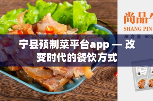 宁县预制菜平台app — 改变时代的餐饮方式