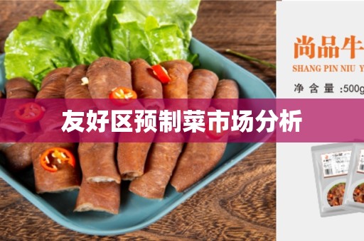 友好区预制菜市场分析