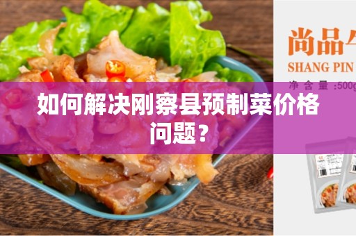 如何解决刚察县预制菜价格问题？