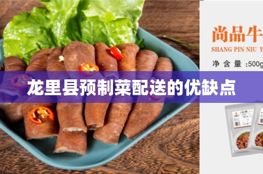 龙里县预制菜配送的优缺点