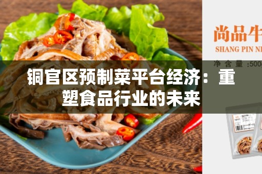 铜官区预制菜平台经济：重塑食品行业的未来