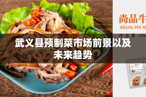 武义县预制菜市场前景以及未来趋势
