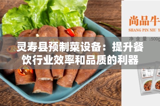 灵寿县预制菜设备：提升餐饮行业效率和品质的利器