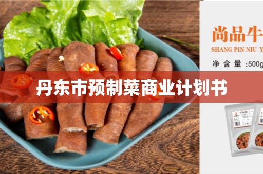 丹东市预制菜商业计划书