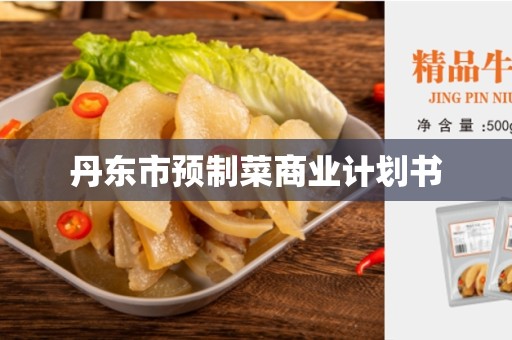 丹东市预制菜商业计划书