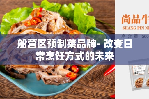 船营区预制菜品牌- 改变日常烹饪方式的未来