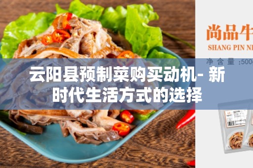 云阳县预制菜购买动机- 新时代生活方式的选择