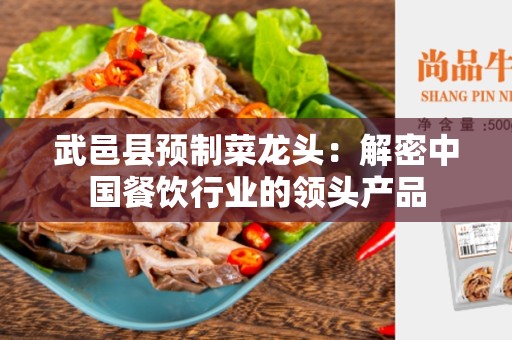 武邑县预制菜龙头：解密中国餐饮行业的领头产品