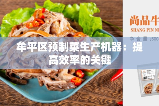 牟平区预制菜生产机器：提高效率的关键