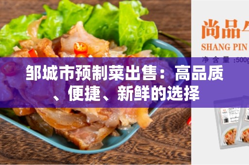 邹城市预制菜出售：高品质、便捷、新鲜的选择