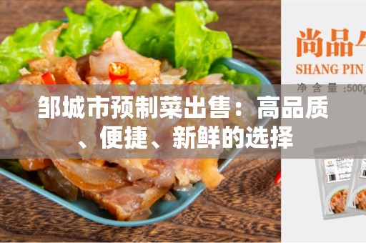 邹城市预制菜出售：高品质、便捷、新鲜的选择